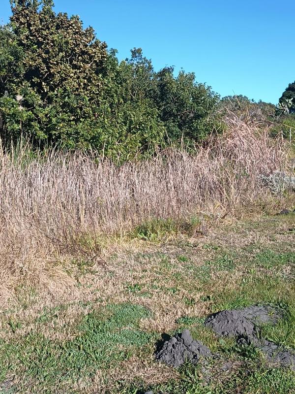 0 Bedroom Property for Sale in Albertinia Western Cape